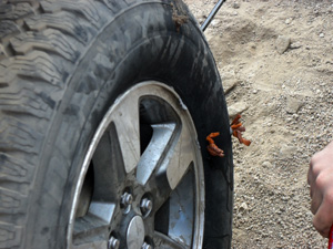 Plugged Tire