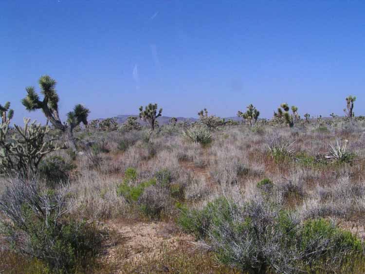 P4170095