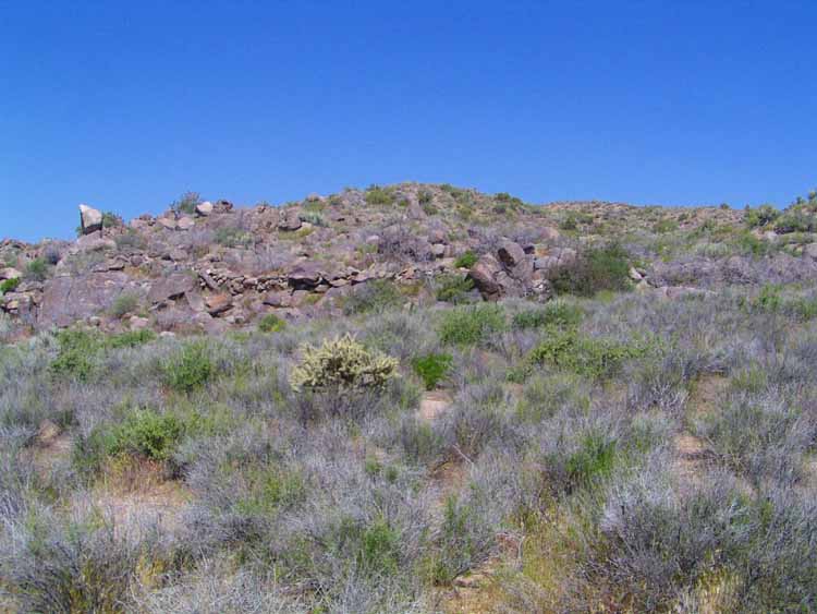 P4170109