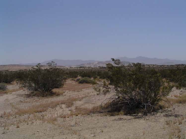 P4181847