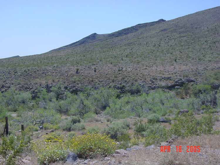 DSC00118