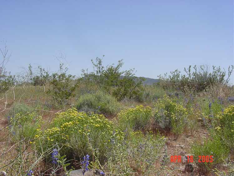 DSC00130