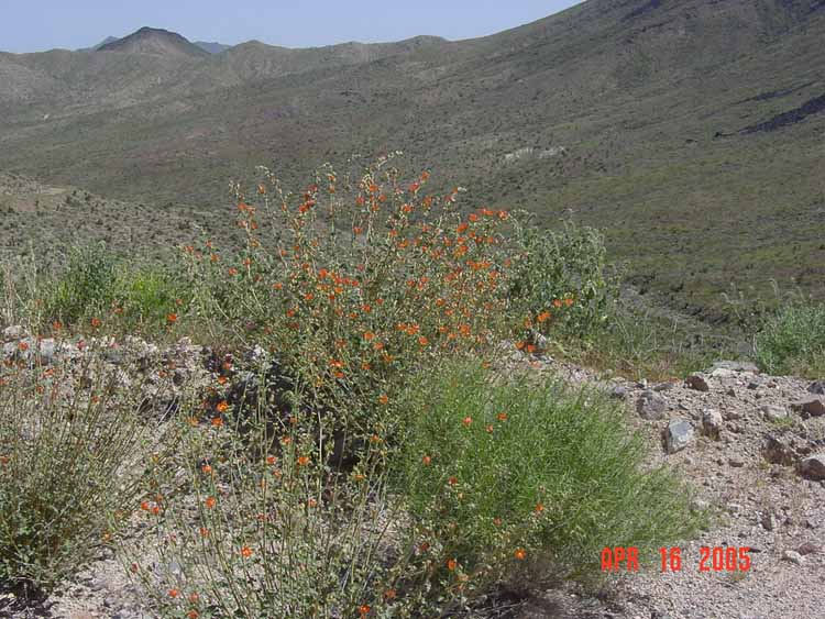 DSC00136