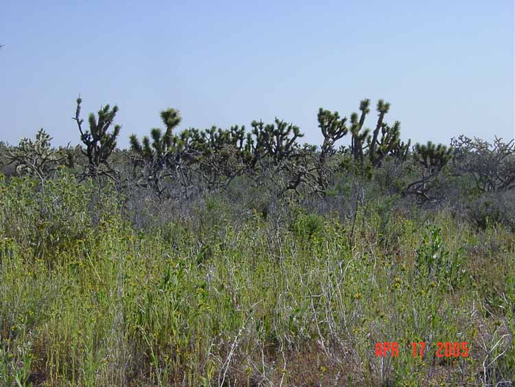 DSC00168