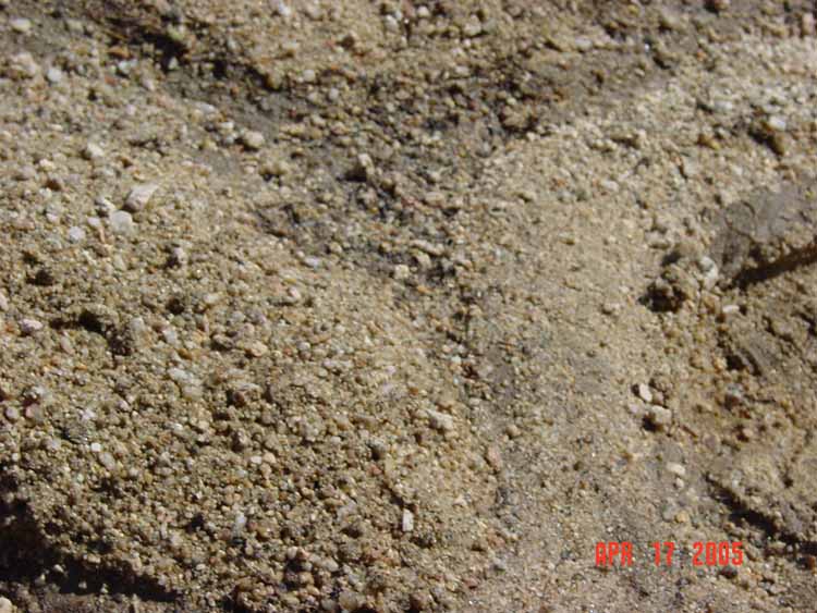 DSC00175