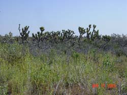 DSC00168