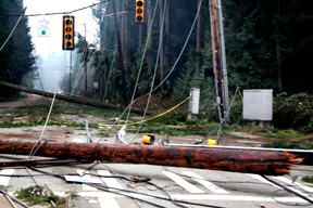 down poles